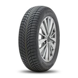 Roadstone Winguard SnowG WH2 195/50R15 82H